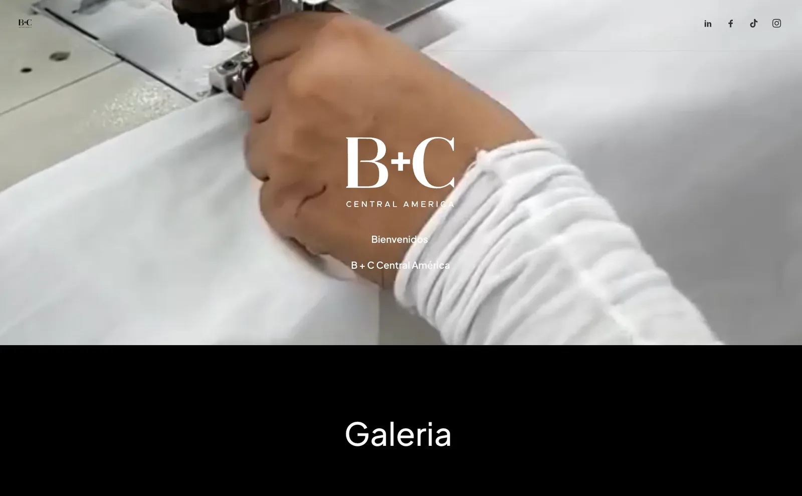 The BC Group website