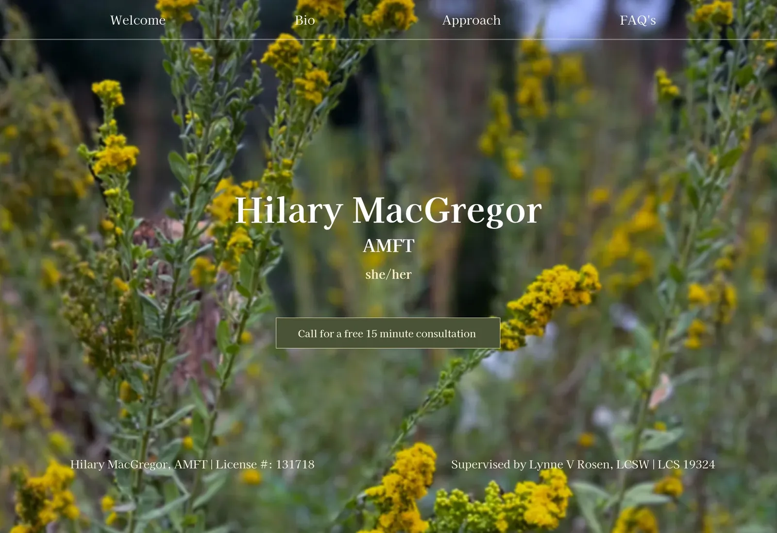 The Hilary MacGregor website